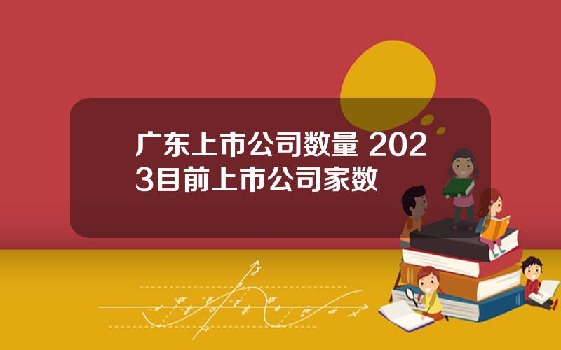 广东上市公司数量 2023目前上市公司家数